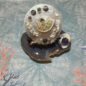 Shells by the sea deco